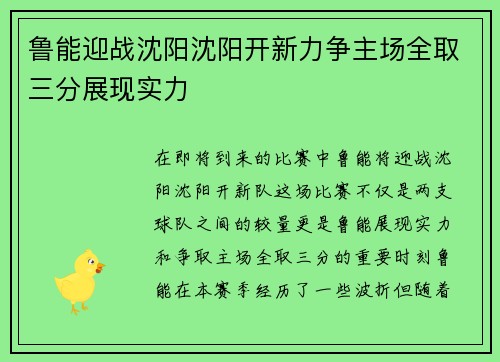 鲁能迎战沈阳沈阳开新力争主场全取三分展现实力